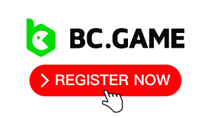 A Complete Guide to the BC.Game Registration Process